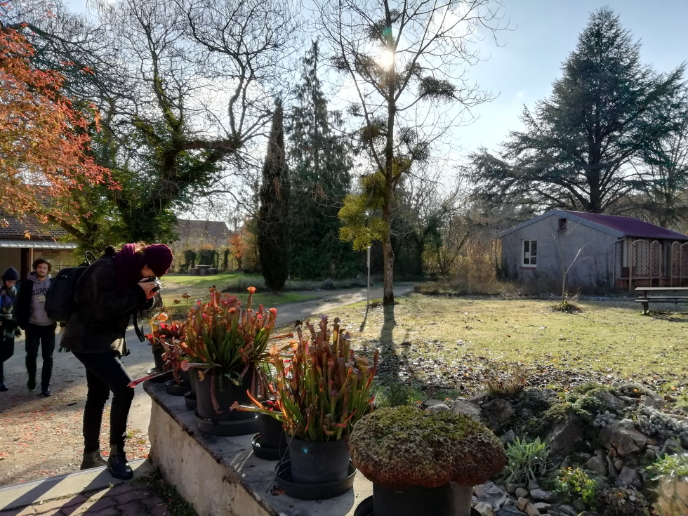 Fontainebleau station biologie vegetale