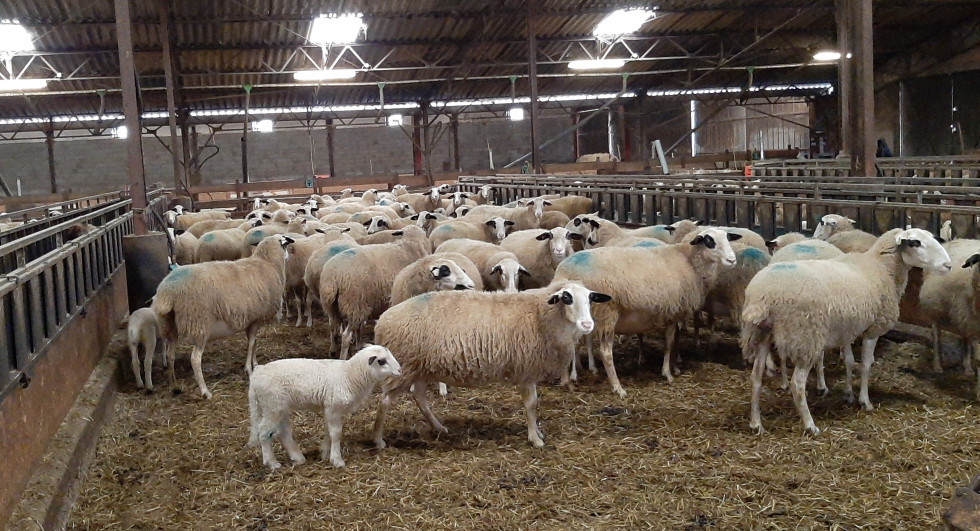 Causses du Lot à la ferme