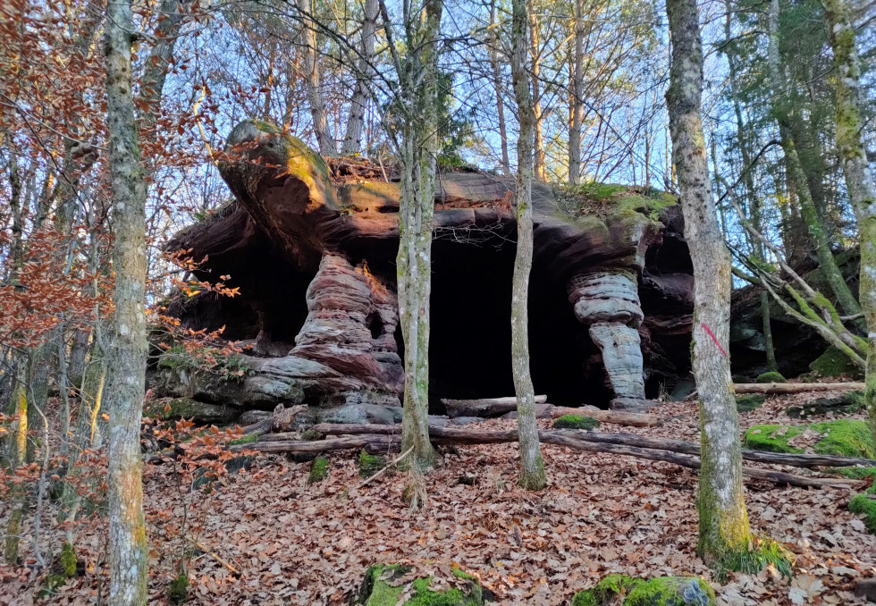 rochers foret vosges