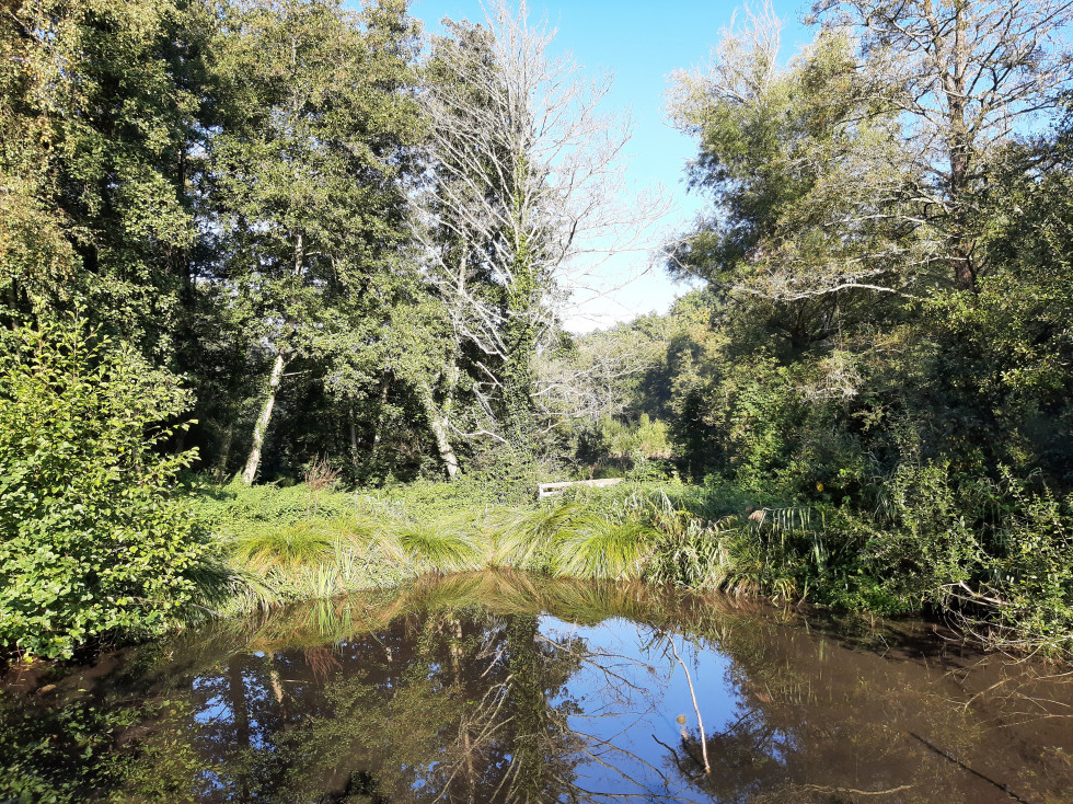 Marais de Maincourt