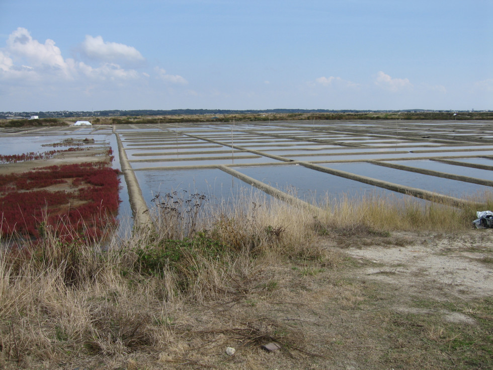 marais salants guerande