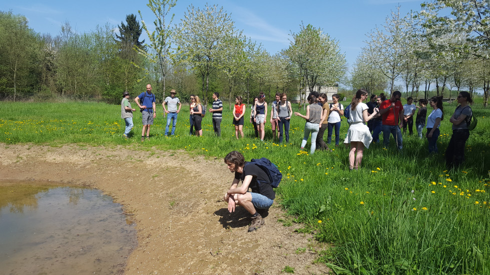 Aisne. Mare de compensation