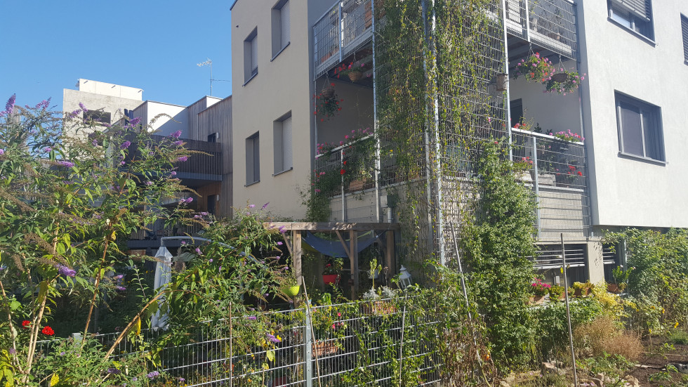 Strasbourg écoquartier