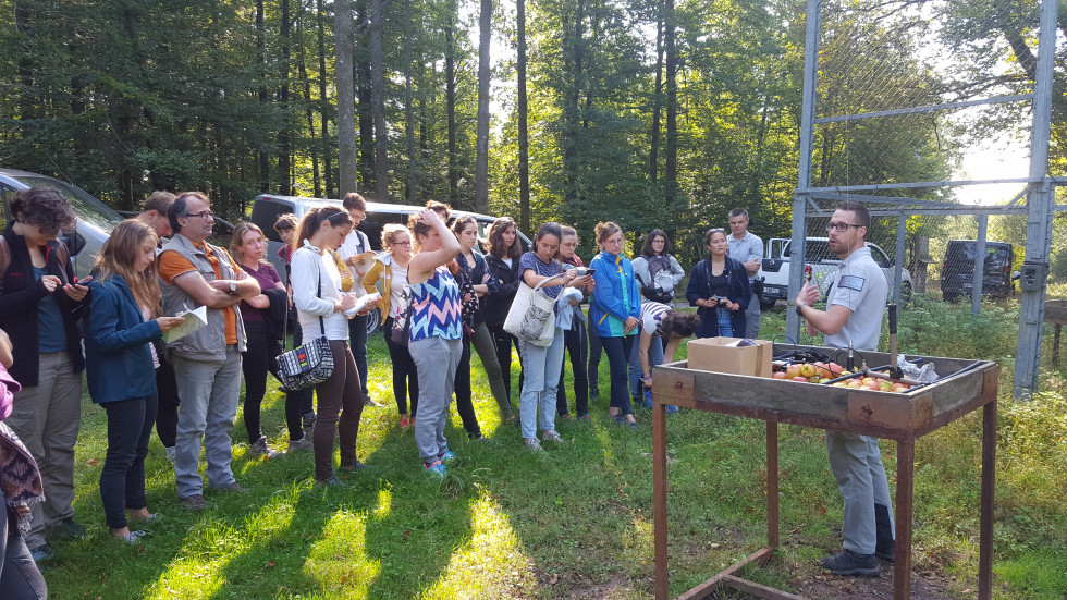 Alsace avec ONCFS