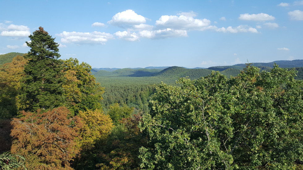 Alsace. Parc vosges nord vue panoramiques