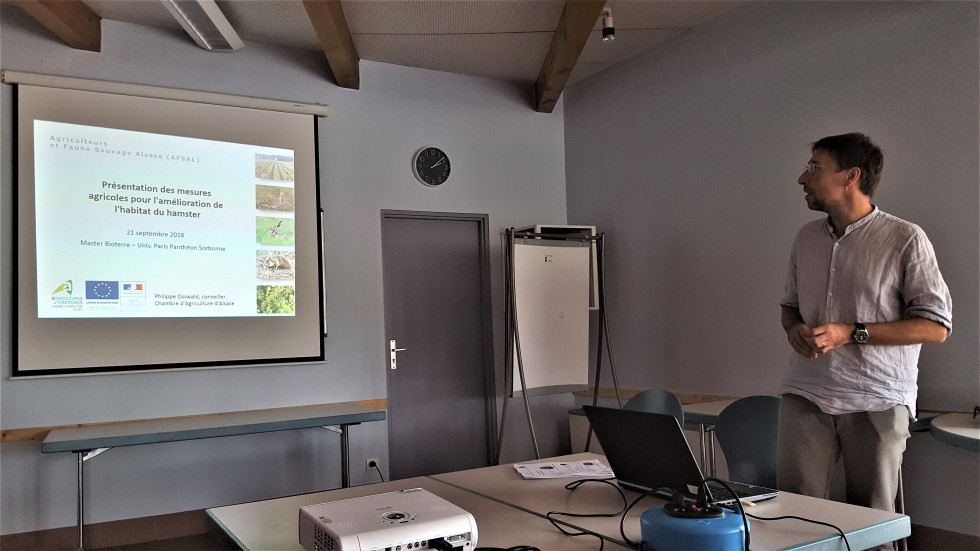 Alsace. Programme Hamster d'Alsace salle