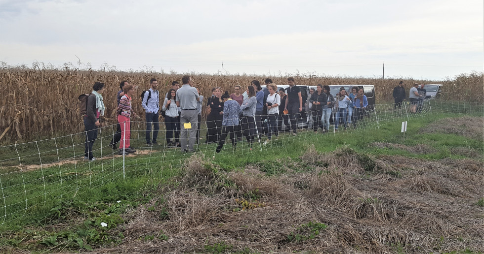 Alsace. Bioterre Programme Hamster