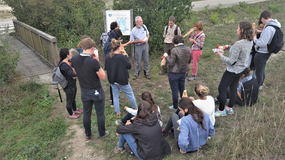 Alsace Ile Rohrschollen groupe