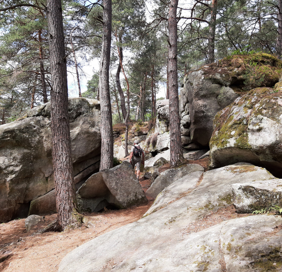 Fontainebleau. Grès