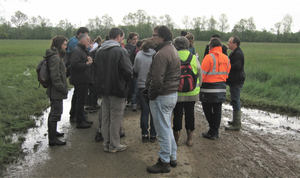 Bourgogne. Plaine inondable