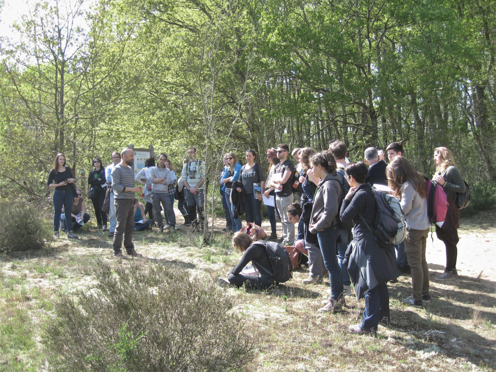 Bourgogne. Réserve Naturelle La Truchère-Ratenelle