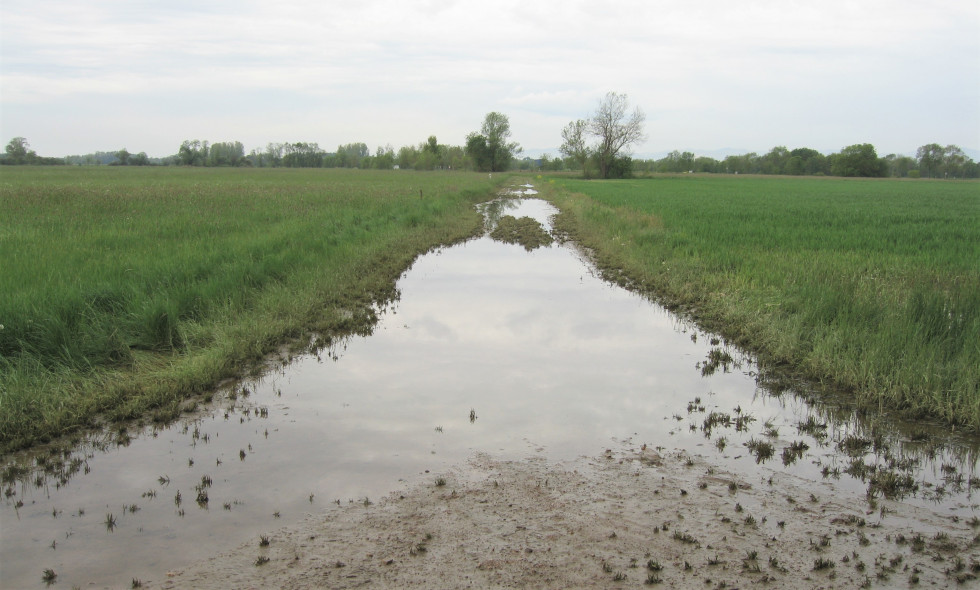 Bourgogne. Plaine inondable