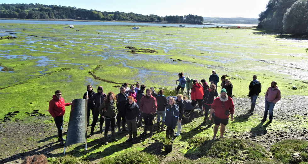 Finistère chantier spartine début