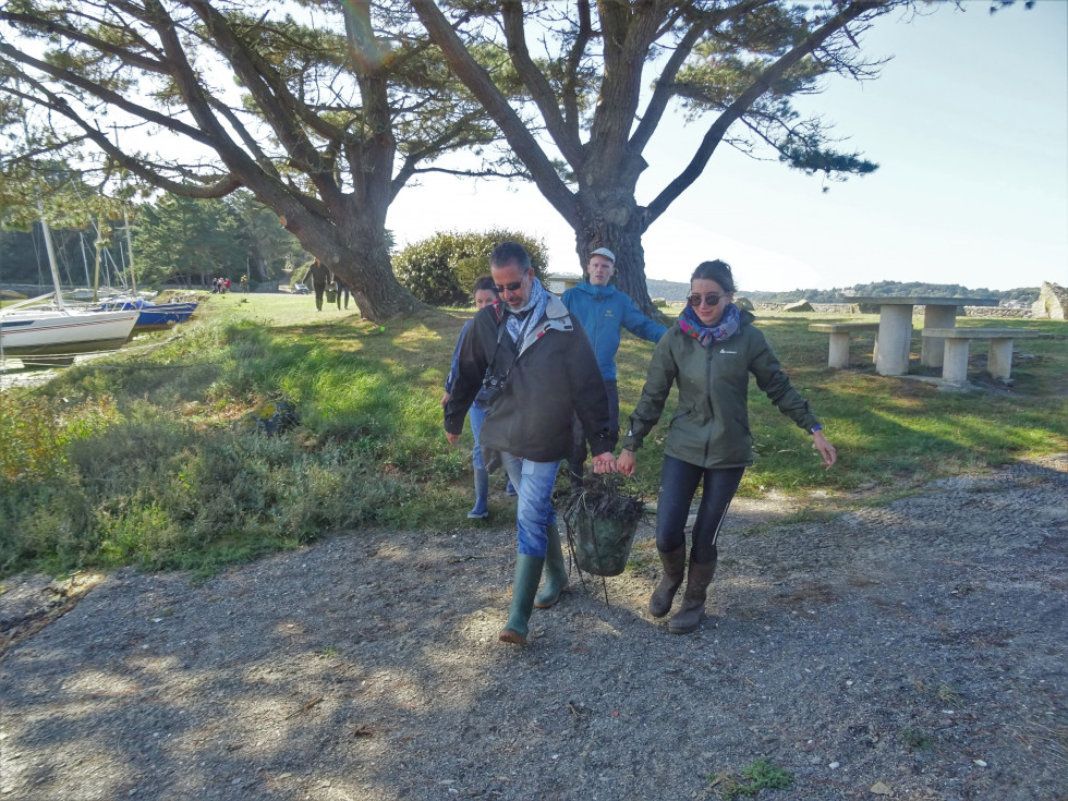 Finistère. Chantier spartine