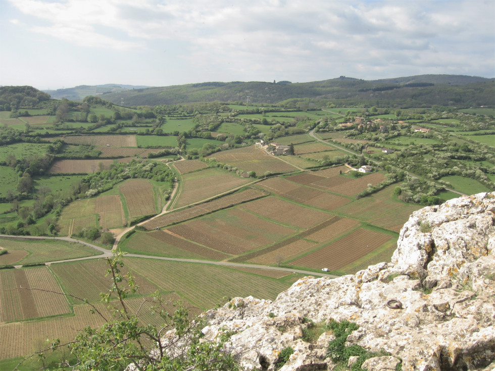 Bourgogne bocage