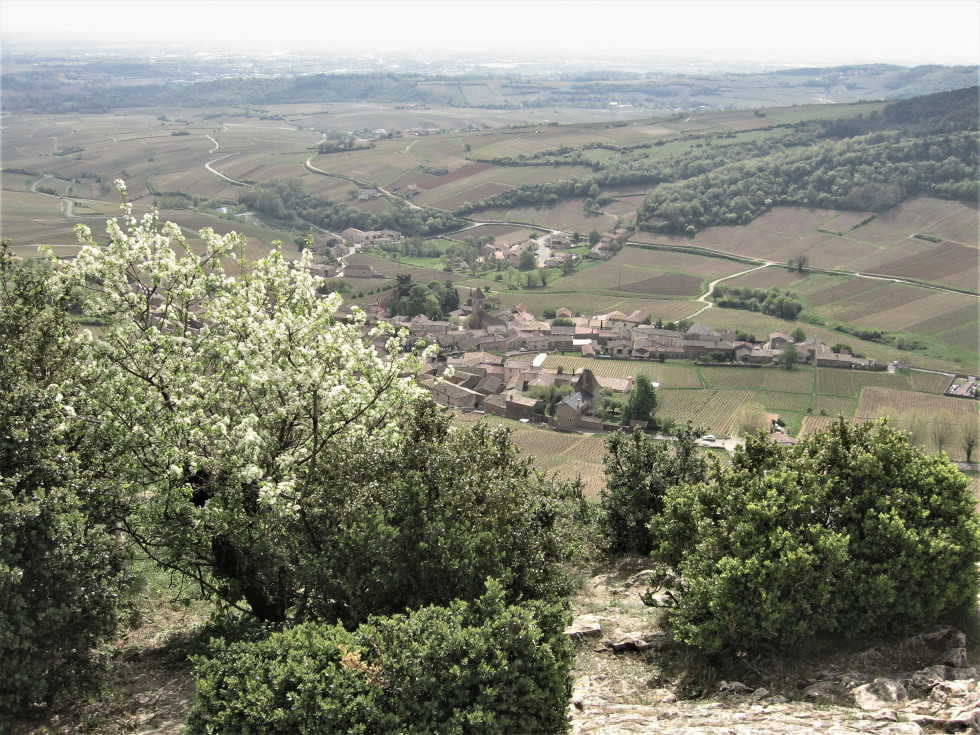 Bourgogne. Solutré