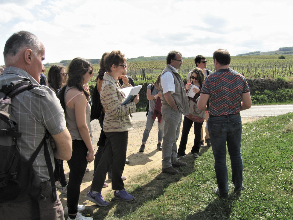 Bourgogne vignes bio Pierre Catherine Laurent