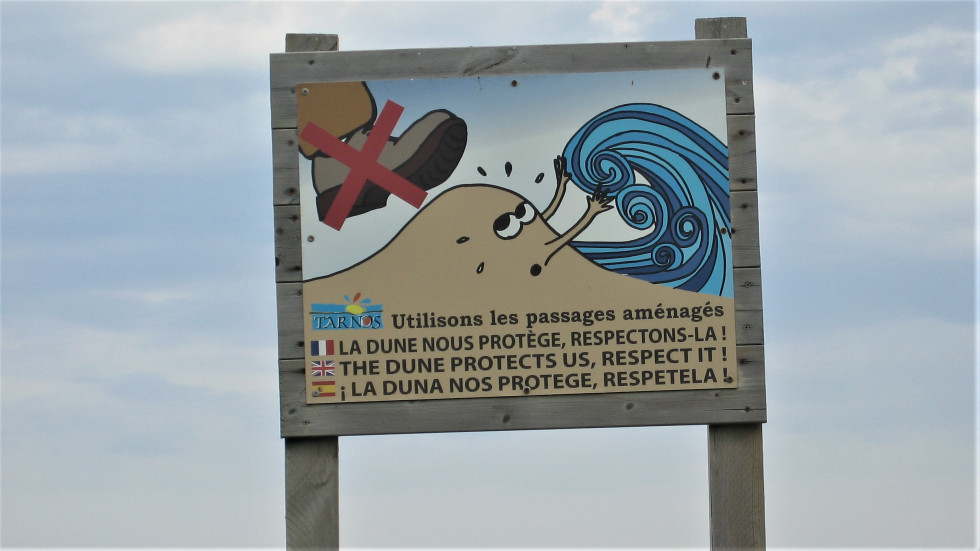 panneau dunes