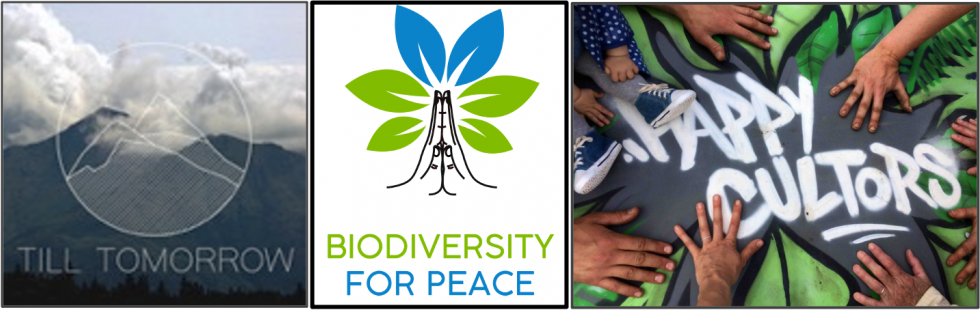 bioterre projet.png