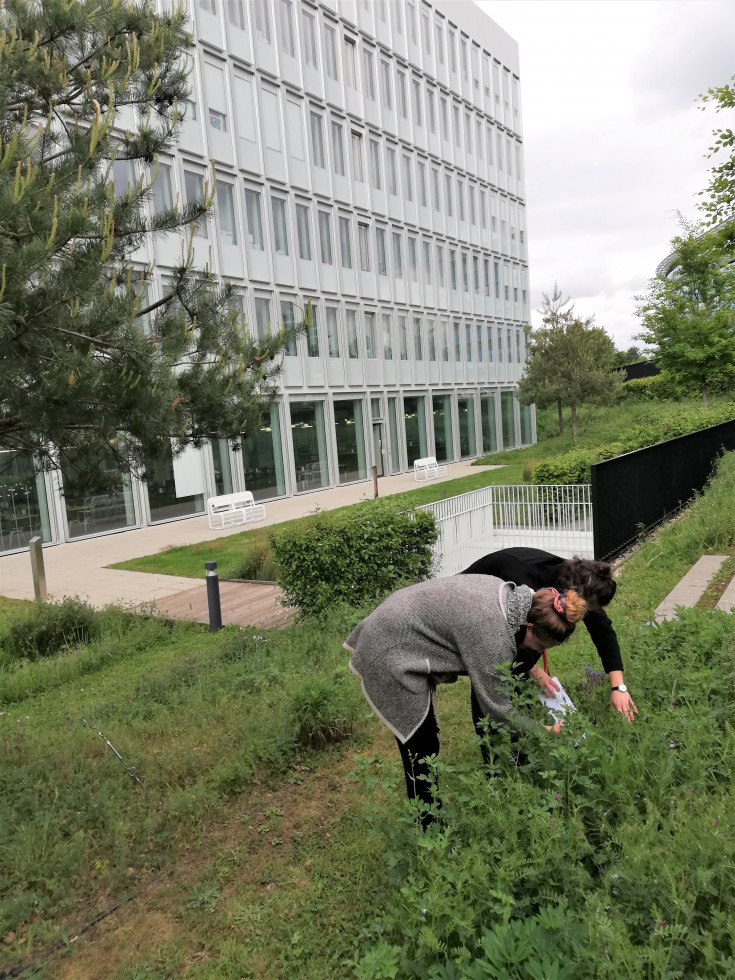botanique eiffage batiment