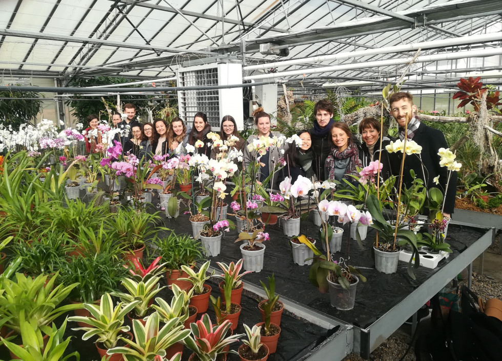 Les Ulis promo fleurs serres