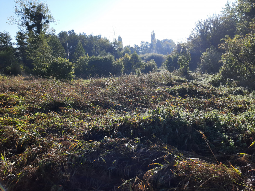 Marais de Maincourt