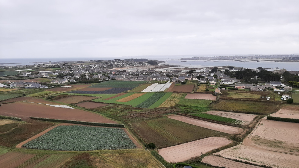 batz culture depuis le phare