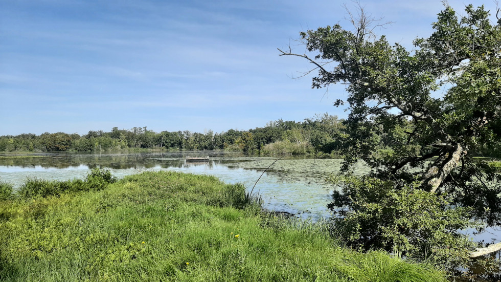 etang aux moines essonne