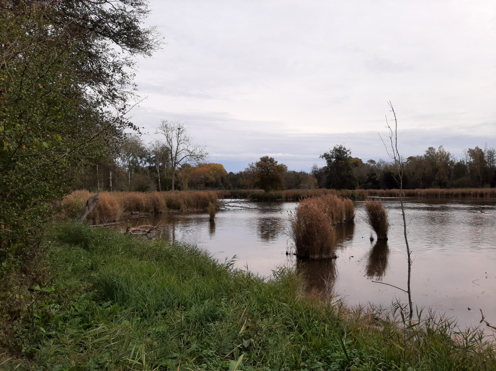 etang de gravelles essonne