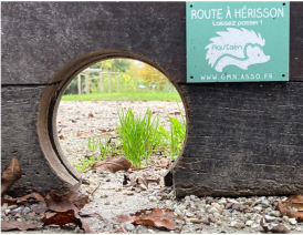Passage_hérisson.png