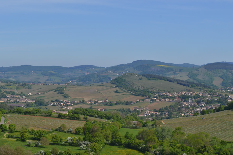 2026_Saone4